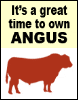 Its a<br>great time<br>to own<br>Angus!