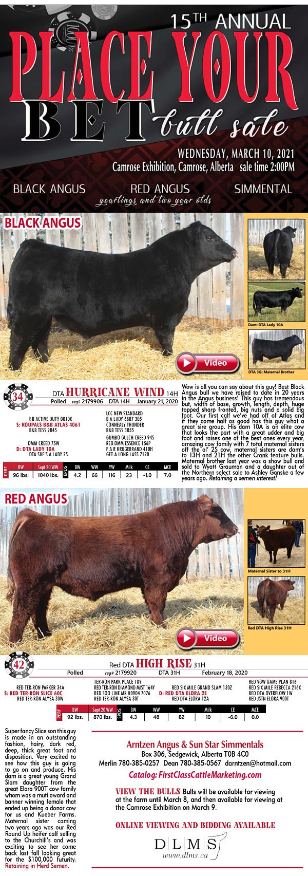 Place Your Bet Bull Sale
